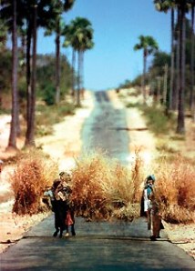 Bagan dry zone Myanmar